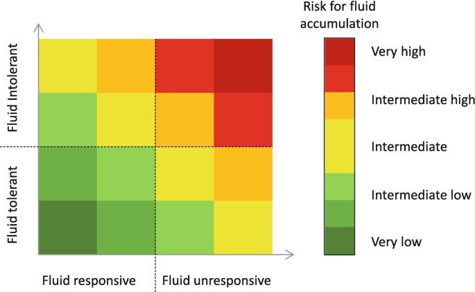 A grid explains the relationship between fluid tolerance and fluid responsiveness. The grid has 4 quarters as follows, clockwise from the top left, fluid intolerant and responsive, intermediate to low risk. Fluid intolerant, unresponsive, very high to intermediate high risk.