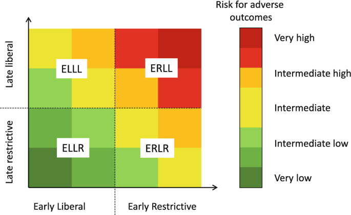 A risk heat map of the fluid strategy is as follows. Early liberal, late liberal, intermediate to low risk. Early restrictive, late liberal, medium-high to very high risk. Early liberal, late restrictive, medium-low to very low risk. Early restrictive, late restrictive, intermediate high to low.
