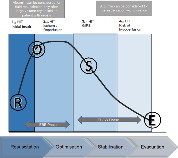 A graph with a decreasing trend. It presents an increasing trend for resuscitation, the highest peak for optimization, a decreasing trend for stabilization, and the lowest peak titled evacuation.