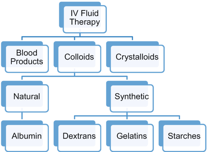 An I V fluid therapy chart divides into blood products, colloids, and crystalloids. Colloids are divided into natural and synthetic. Natural includes albumin. Synthetic includes dextrans, gelatins, and starches.