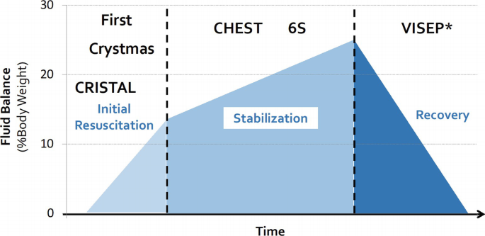 An area graph plots fluid balance versus time. The curve is divided into three sections. It increases for the initial resuscitation and stabilization and then decreases for the recovery phase.