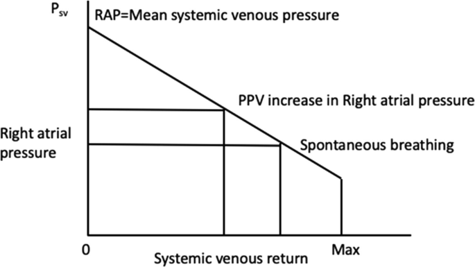 A graph plots the right atrial pressure versus systemic venous return. A linearly decreasing curve depicts the mean systemic venous pressure with P P V increase in right atrial pressure and spontaneous breathing values.