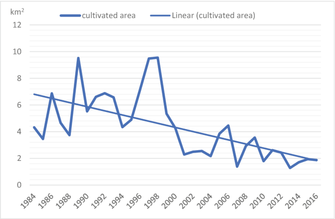 A line graph of values in square kilometer versus years from 1984 to 2016 plots a fluctuating line for the cultivated area in a decreasing trend and a decreasing straight line for linear or cultivated area. The lines are overlapping.
