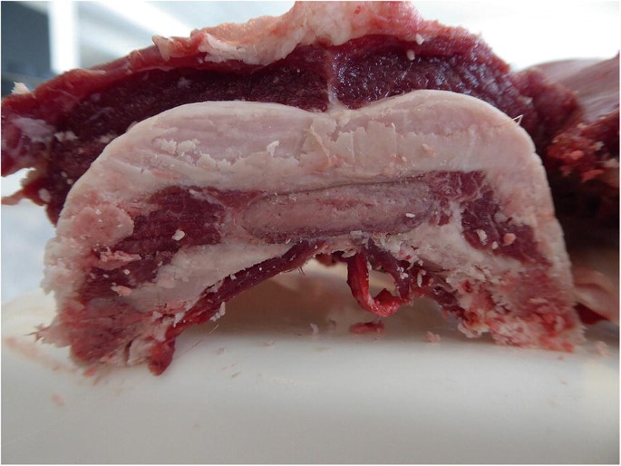 A photo of the reindeer breast cut across. It has layer of fat in-between flesh.