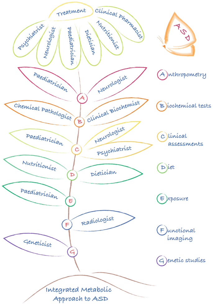 acetyl l carnitine benefits autism The Difference Between L-Carnitine & Acetyl L-Carnitine  Swanson Vitamins
