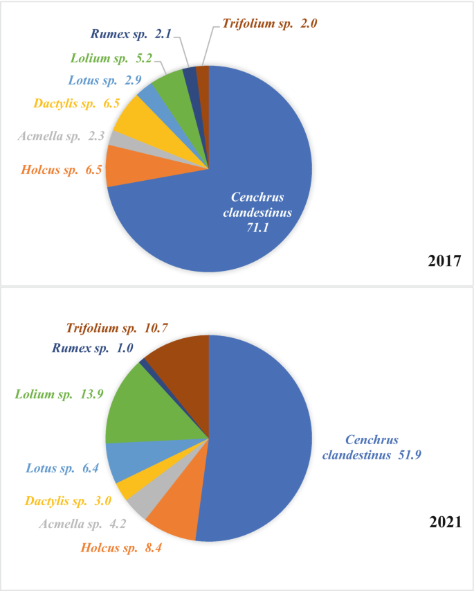 Full article: Perspectives on agroecological transition: the case of  Guachetá municipality, Colombia