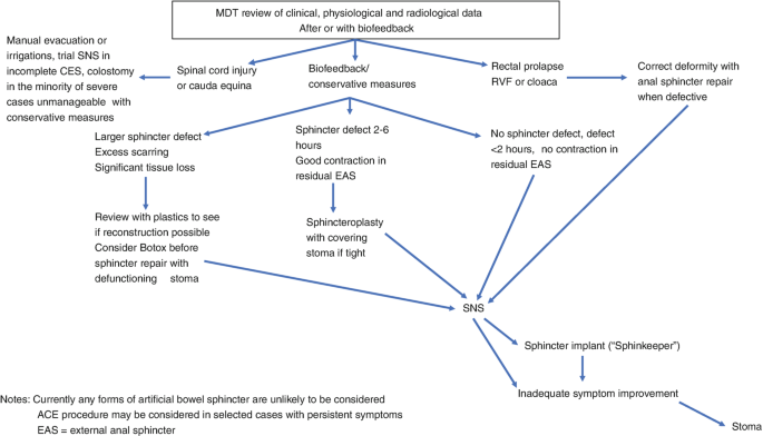 Surgical Management of Anal Incontinence | SpringerLink