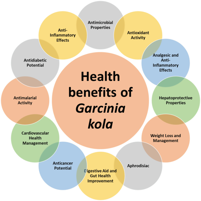 bitter kola benefits