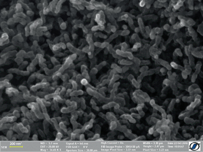 Assessment of Thermal Conductivity of Mortar with a Novel Carbon Based ...