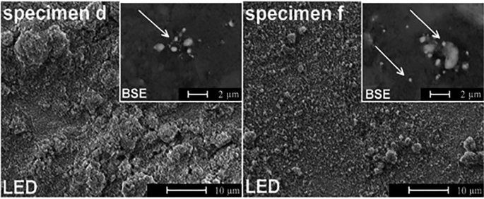 2 images of samples d and f coated with nano H A and nano C u. The first photograph depicts a rough surface with an inset of B S E with an arrow for nano C u particles. The second photograph depicts a granular surface for specimen f and an inset for B S E with two arrows for nano C u particles.