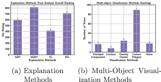 Elo-ratings of the highest-ranking individuals of the study group in