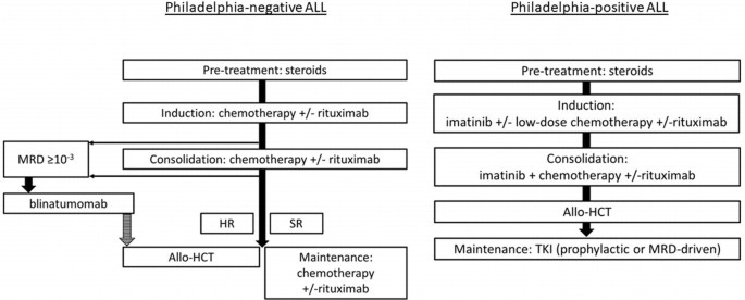 2 therapeutic algorithms. 1. Philadelphia negative. It presents pretreatment with steroids, induction, consolidation, and maintenance of chemotherapy plus minus rituximab. 2. Philadelphia positive. Pretreatment with steroids is followed by induction and consolidation with imatinib and rituximab.
