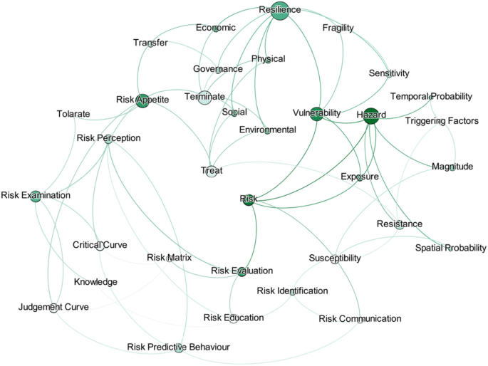 A node diagram where the terms resilience, risk appetite, risk examination, risk, risk evaluation, vulnerability, and hazard are the primary.