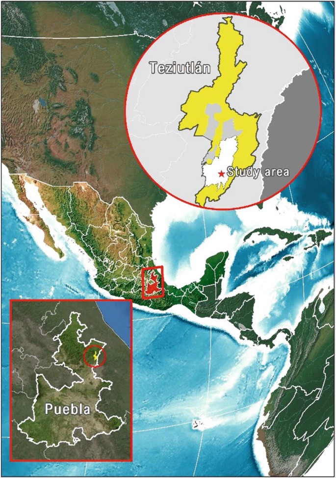 A map of the northeast of Puebla province indicates Teziutlan. A map of Teziutlan highlights the study area. A map of Puebla in the bottom left corner highlights Teziutlan.