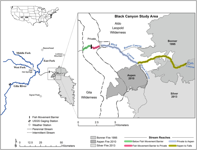 An inset map of U S labels Arizona, New Mexico and highlights Black Canyon study area in New Mexico. A map of the highlighted area marks the location of Aspen. A map of Aspen and its surrounding area highlights the below fish movement barrier, fish movement barrier to private, private to Aspen, and Aspen to falls.