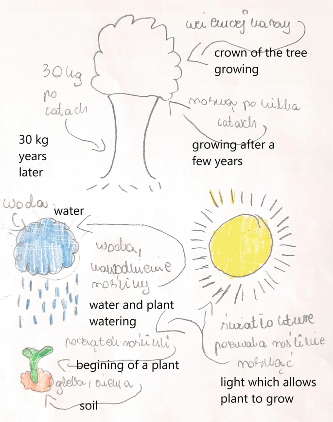 A sketch produced by a student from grade 5. The sketch has a plant in soil which grows when it receives water and sunlight. The crown of the tree grows.