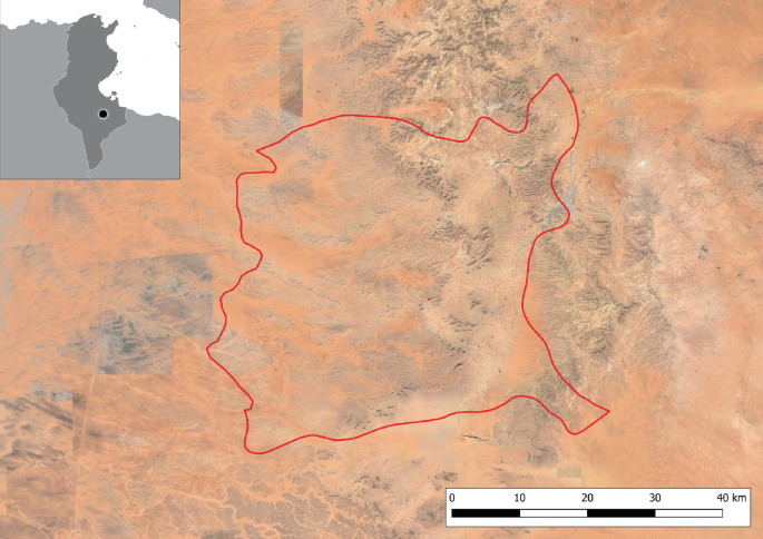 Tunisian beekeepers battle heat to keep 'precious insects' alive