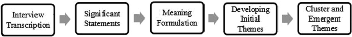 A process flow presents the steps involved in transcription. It involves interview transcription, significant statements, meaning formulation, developing initial themes, and cluster and emergent themes.