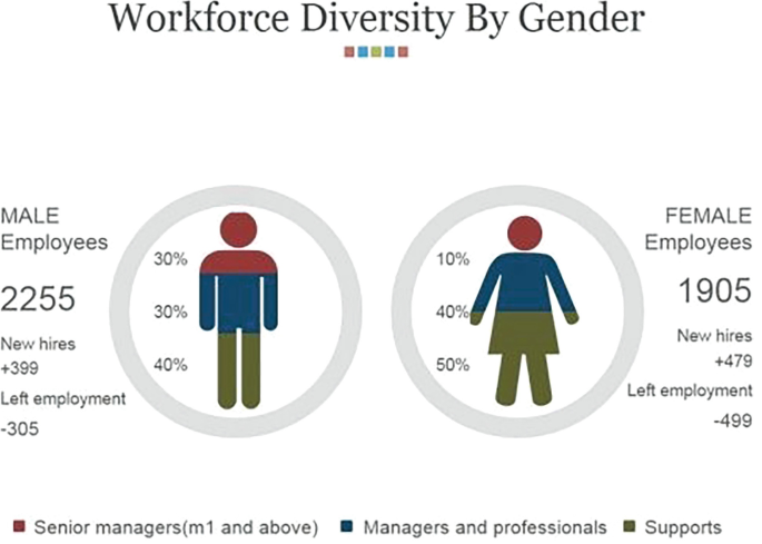 An illustration of workforce gender diversity. Support and managers and professionals is high in female employees and senior management is high in male employees. The new hires and left employment are high in female employees.