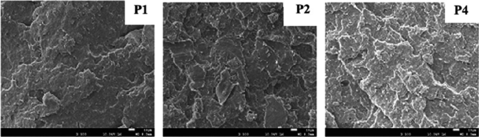 3 S E micrographs of a surface labeled P 1, P 2, and P 4. The increasing order of the intensity of the cracks on the surface is P 1, P 2, and P 4.