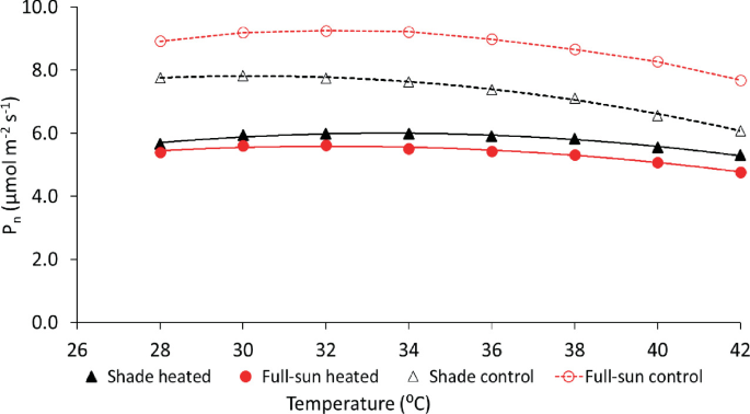 A multiline graph plots P n versus temperature in degree Celsius. The plotlines are for shade heated, full-sun heated, shade control, and full-sun control. The trend is declining with the highest plotline for full-sun control and the lowest plotline for full-sun heated.