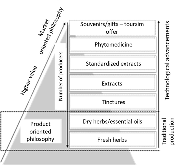 A pyramid diagram. It presents souvenirs or gifts tourism offer, phytomedicine, standardized extracts, extracts, tinctures, dry herbs or essential oils, and fresh herbs, with a decrease in the number of producers, and an increase in technological advancements, value, and market-oriented philosophy.