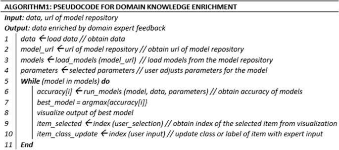 A set of lines of pseudocode represents the algorithm for domain knowledge enrichment. The input is the u r l of the model repository. The output is the data enriched by domain expert feedback.