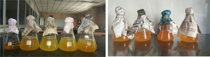 2 photographs encompass a line of beakers with homogenous solutions of different gradients. The necks of the beakers are held together by a band and covered in newspaper.