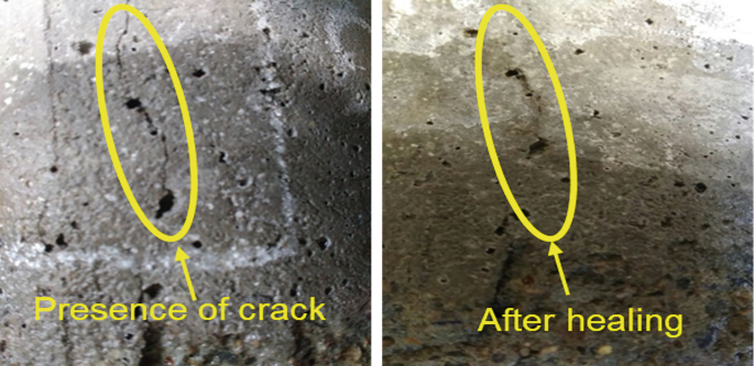 2 photographs feature the bigger crack in the concrete and the closure of the crack with subsequent healing.