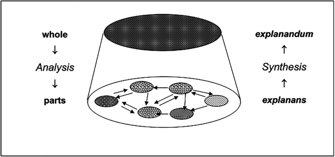 An illustration of a mechanism structure. A container has circular patterns that are interconnected. On its left, top to down flow features whole, analysis, and parts. On its right, a bottom-to-top flow features explanas, synthesis, and explanandum.