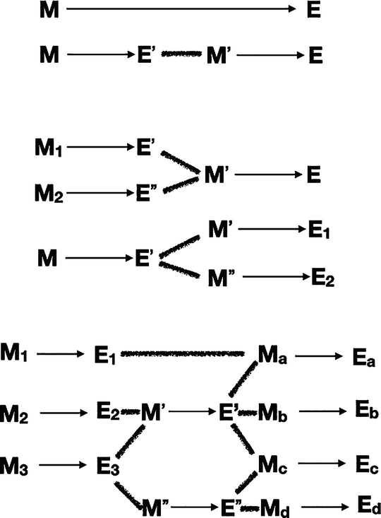 An illustration of multiple control processes interacting with each other. M to E, M to E prime - M prime to E, M 1 to E prime and M 2 to E prime, to M prime to E, M to E prime to, M prime to E 1 and M prime to E 2, and others.