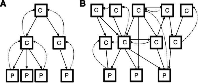A two part diagram. 1. A box with label C divides into two boxes with label C. The first box divides into three boxes with P. The second box links to a single box with a label P. All the branches have arrows going back to the originating boxes. 2. Five boxes with label C links to four boxes with C and then to three boxes with P.