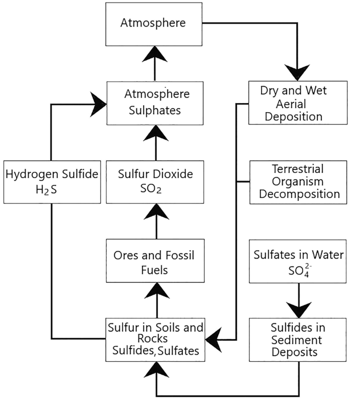 A diagram of the sulfur cycle involves the release of sulfur from rocks, its circulation in the atmosphere, and its incorporation into plants. Sulfur returns to the land and water through weathering, volcanic activity, and the decay of organic matter.