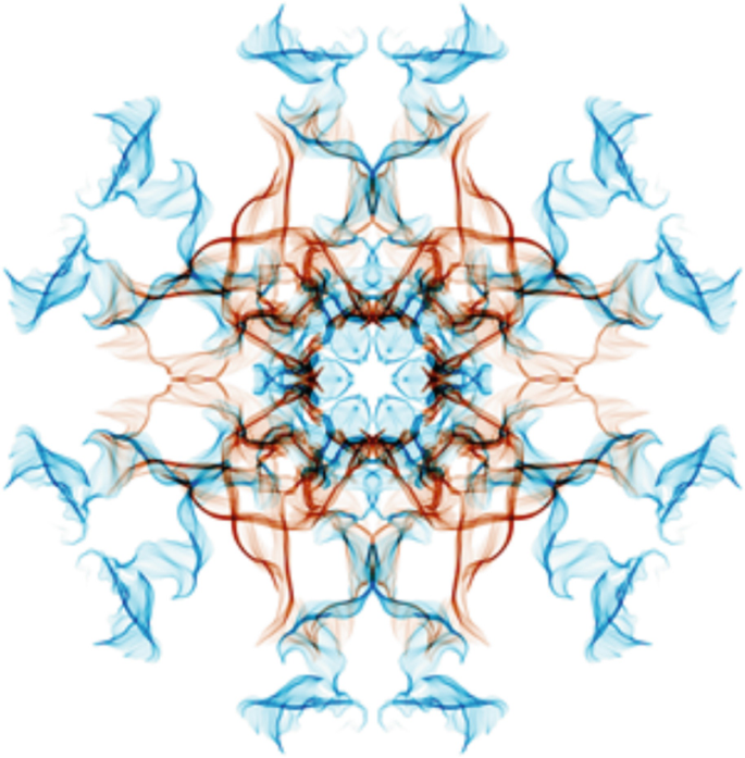 A diagram of flower-shaped symmetry.