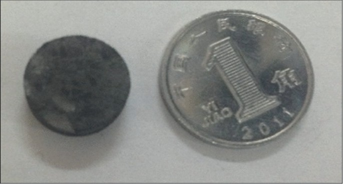 A photo of a dark circular carbon brick and a circular coin with the numeral 1 printed over it.