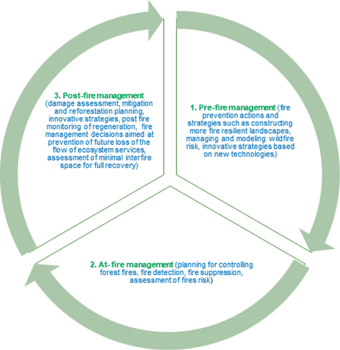 A circular flow diagram illustrating the steps to achieve goals in forest fire management, including pre-fire management, at-fire management, and post-fire management.