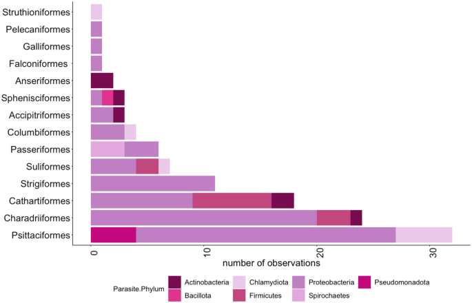 A stacked horizontal bar chart of the number of observations for actinobacteria, chlamydiota, proteobacteria, pseudomonadota, bacillota, firmicutes, and spirochaetes per taxonomic bird order. Psittaciformes has the highest number of observations, while Struthioniformes has the lowest number of observations.