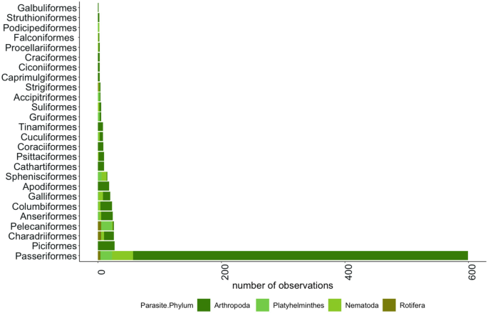 A stacked horizontal bar chart plots the number of observations per bird order. It plots for arthropoda, platyhelminthes, nematoda, and rotifera. The number of observations is highest for Passeriformes, while Galbuliformes has the lowest number of observations.