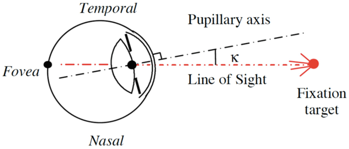 A schematic of the pupillary physiological tilt. The line of sight is a horizontal straight line from the fovea to the fixation target. The pupillary axis line is aligned obliquely at an angle kappa from the line of sight.