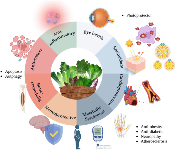 Biological Activities of Lutein | Springer Nature Link