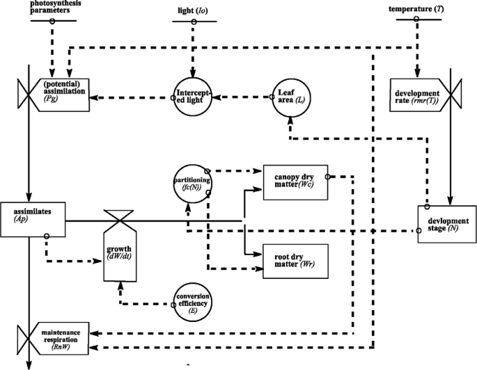 Crop Modelling and Simulation Concept | SpringerLink
