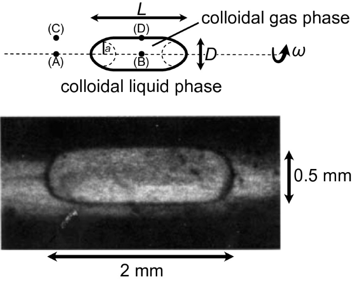 The Interface in Demixed Colloid\u2013Polymer Dispersions | SpringerLink