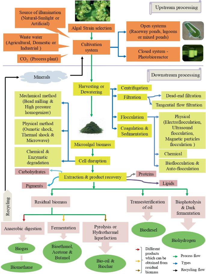 Cost-Effective Downstream Processing of Algal Biomass for Industrial ...