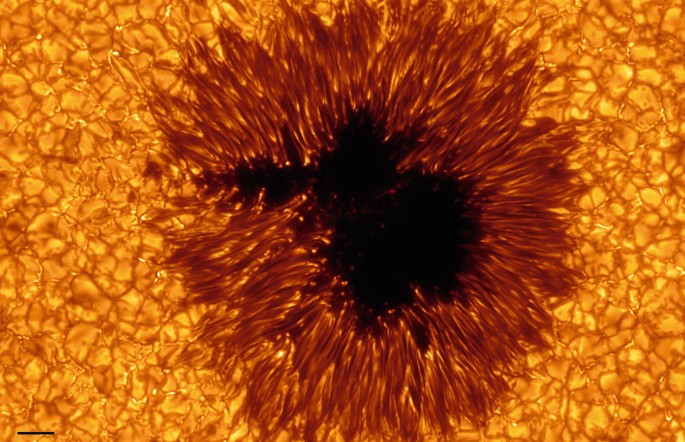 A photograph of the sunspot. A dark central region is surrounded by a lighter-colored fibrous structure.