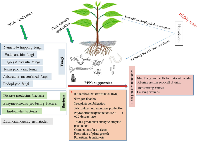 Answer to earthworm's ability to digest poisons unearthed by scientists, Biochemistry and molecular biology