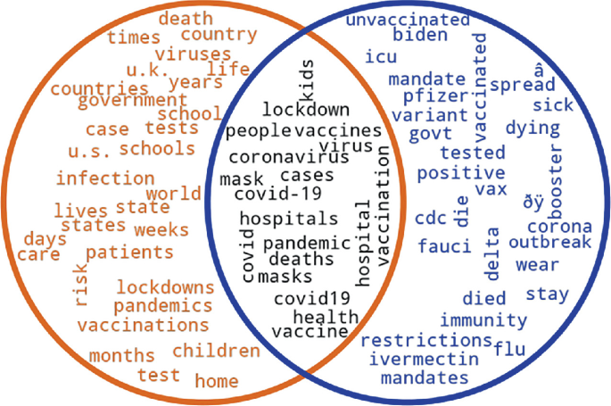 An illustration has a set of 2 word clouds in 2 overlapping circles. The words in the zone of overlap include kids, lockdown, people, vaccines. mask, cases, covid, hospital, cases, pandemic, deaths, and health.