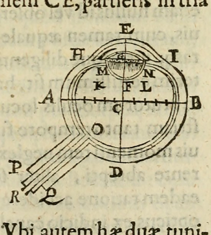 A drawing presents the cross-section of an eye divided into quadrants. The parts are labeled A to R. The text is in a foreign language.