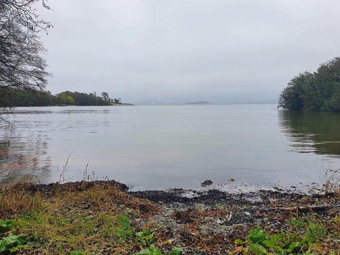 A photograph of the sea surrounded by trees, grasses, under a cloudy sky.