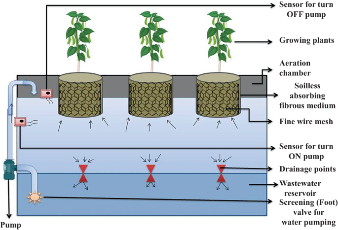 Hydroponics: A Significant Method for Phytoremediation