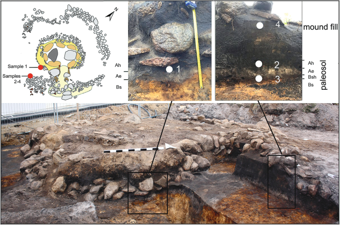 Top left. An excavation plan marks sample 1 and samples 2 to 4 with A h, A e, and B s. Bottom. A photo of a mound fill with 2 zoomed views of the paleosol with A h, A e, B s h, and B s.
